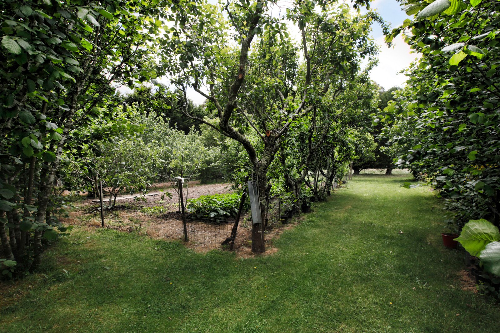 Property Gallery Thumbnail 2