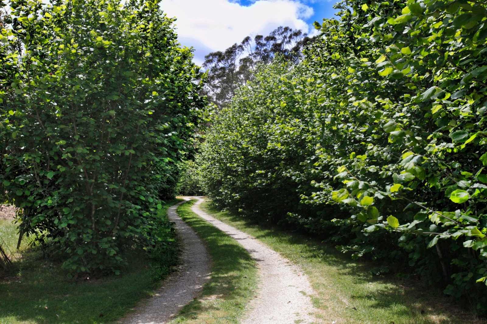 Property Gallery Thumbnail 8