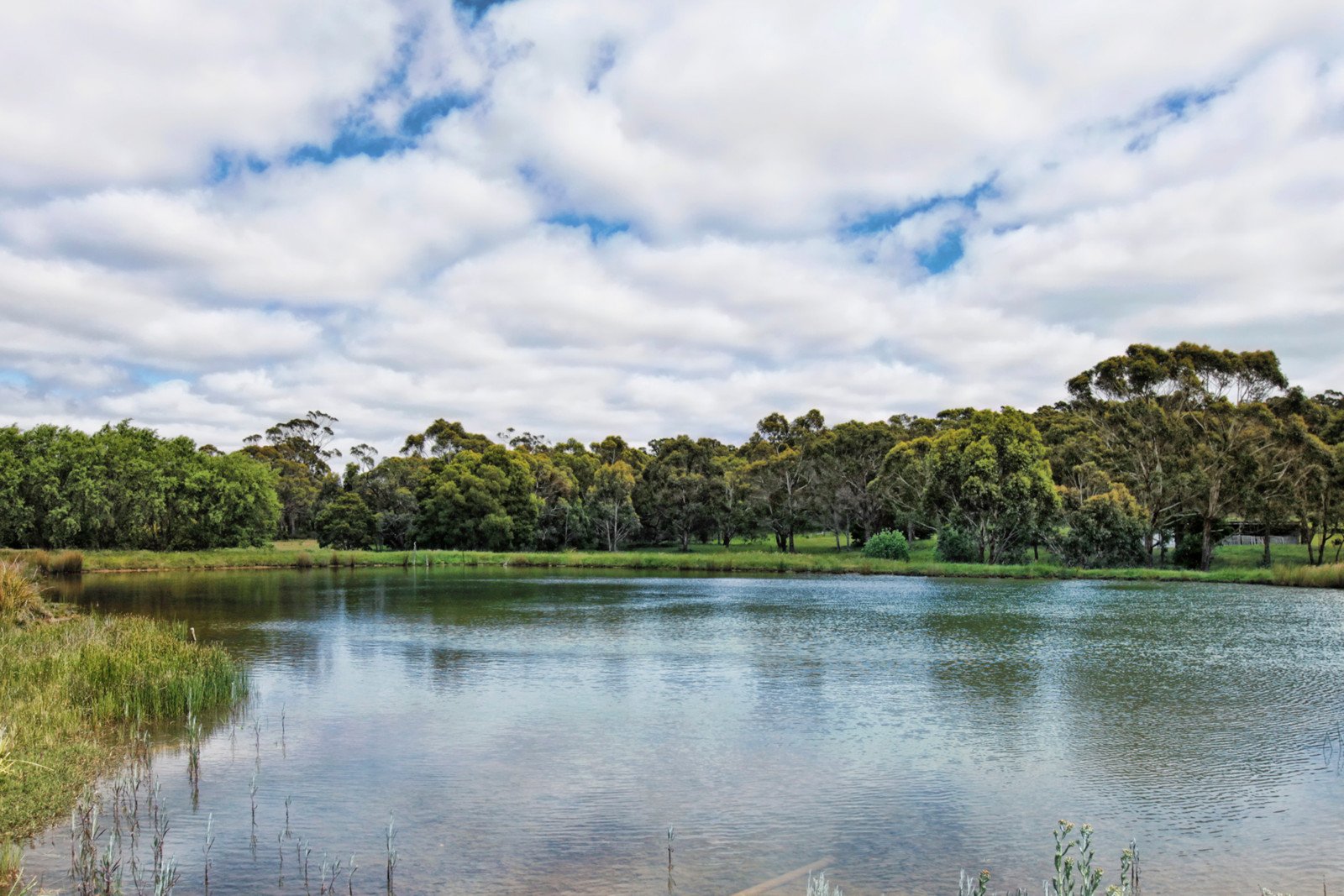 Property Gallery Thumbnail 14