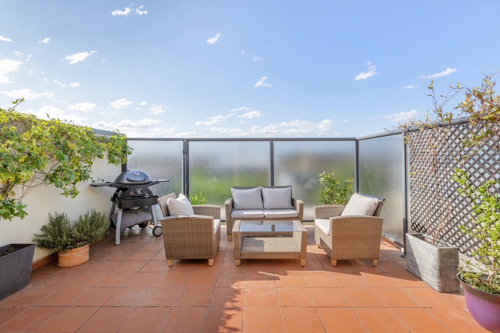 93A Orange Street, Bentleigh East image 6