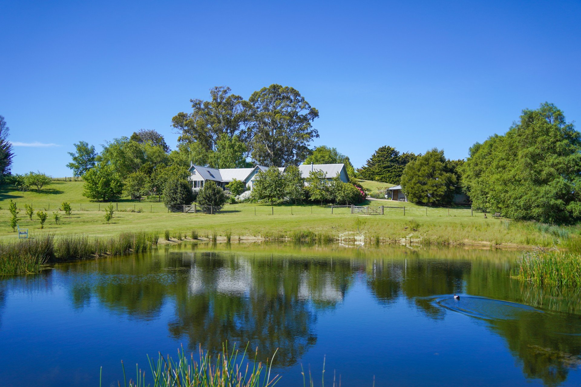 94 Mossops Road, Bullarto image 1