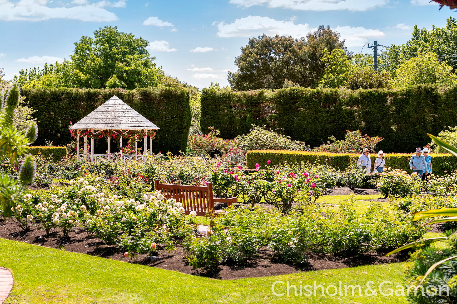 9/4 Poets Grove, Elwood image 8