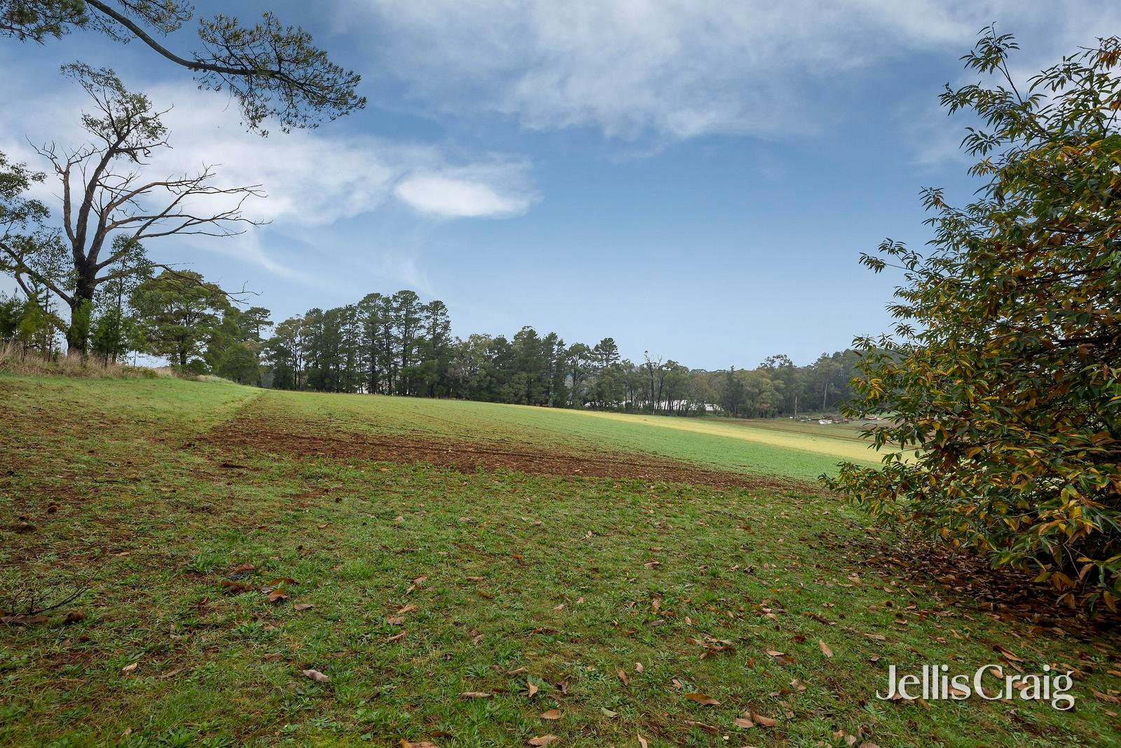 94 Queens Road, Silvan image 22