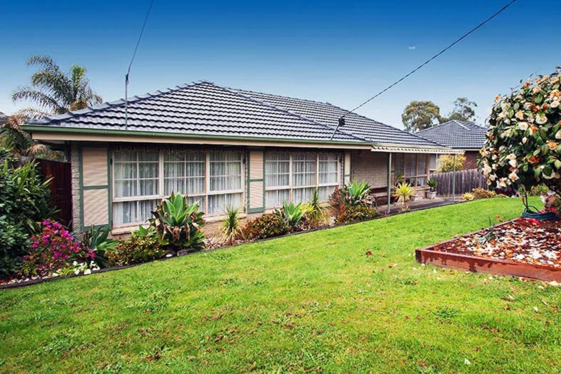 94 Winyard Drive, Mooroolbark image 1