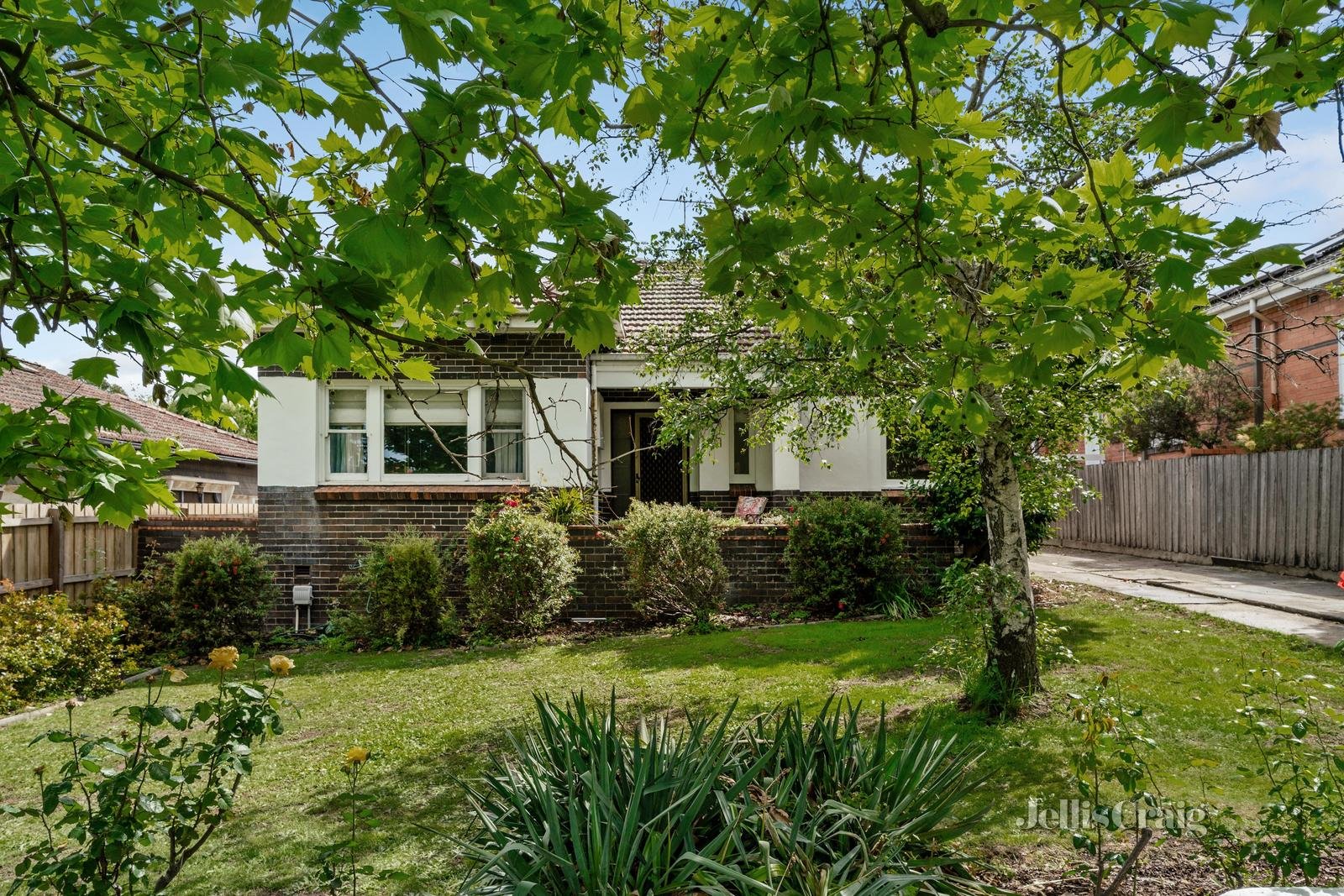 945 Riversdale Road, Surrey Hills image 1