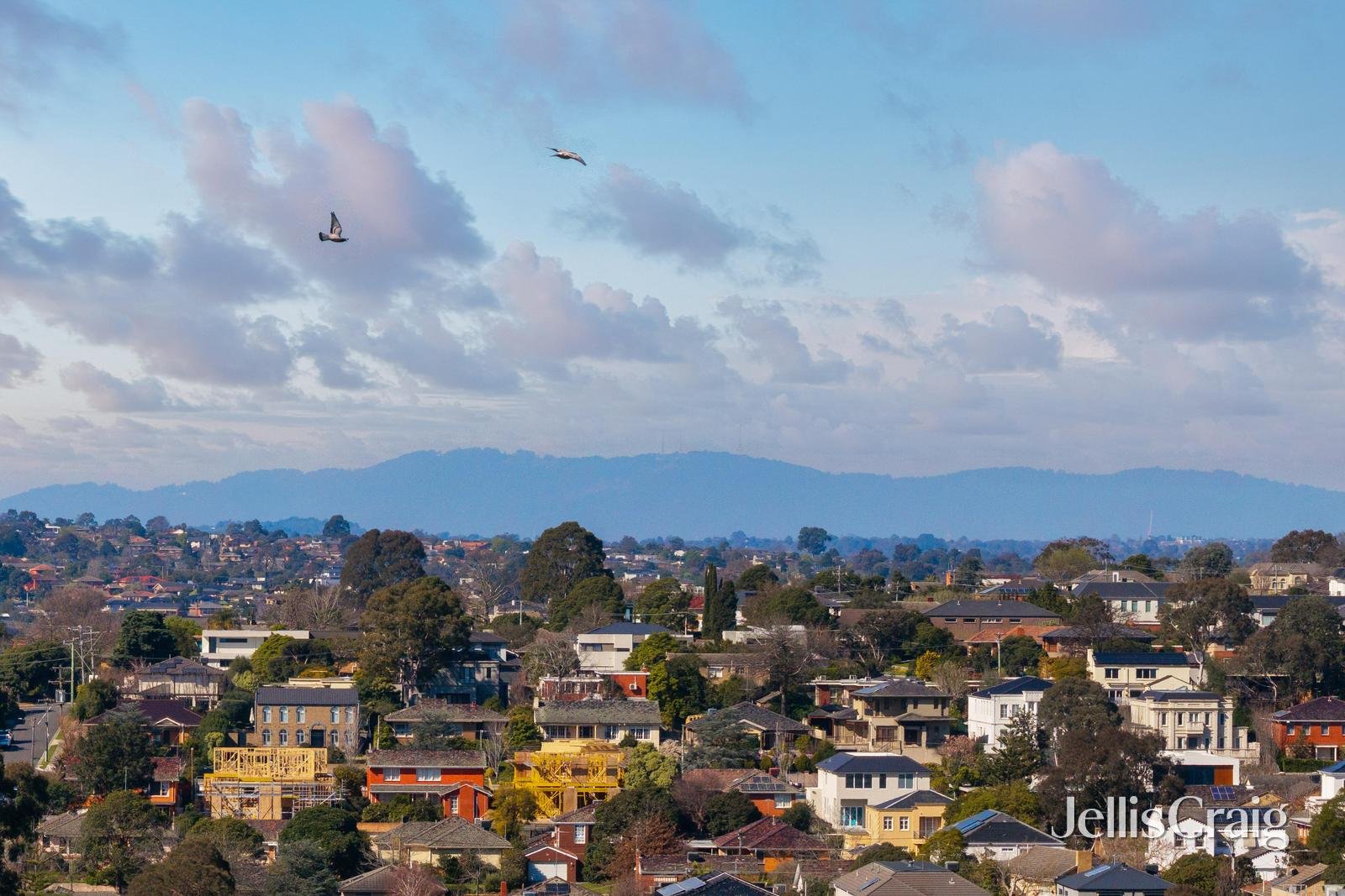 95 Mountain View Road, Balwyn&nbsp;North image 14