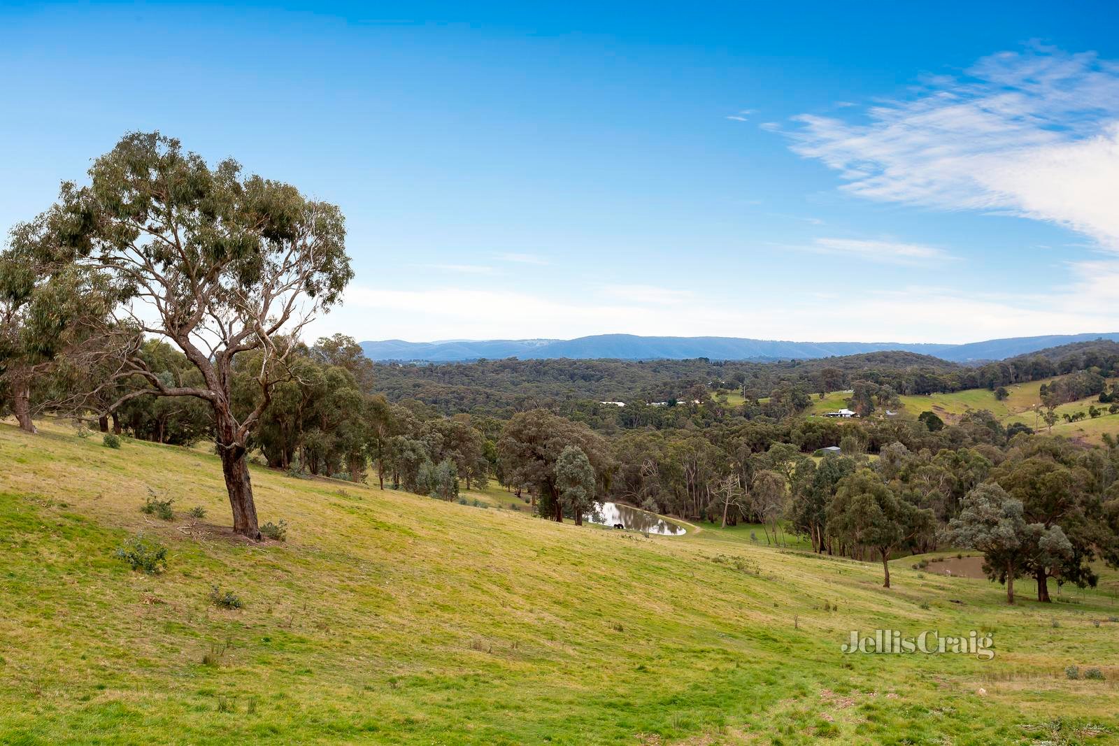 95 One Tree Hill Road, Smiths Gully image 22