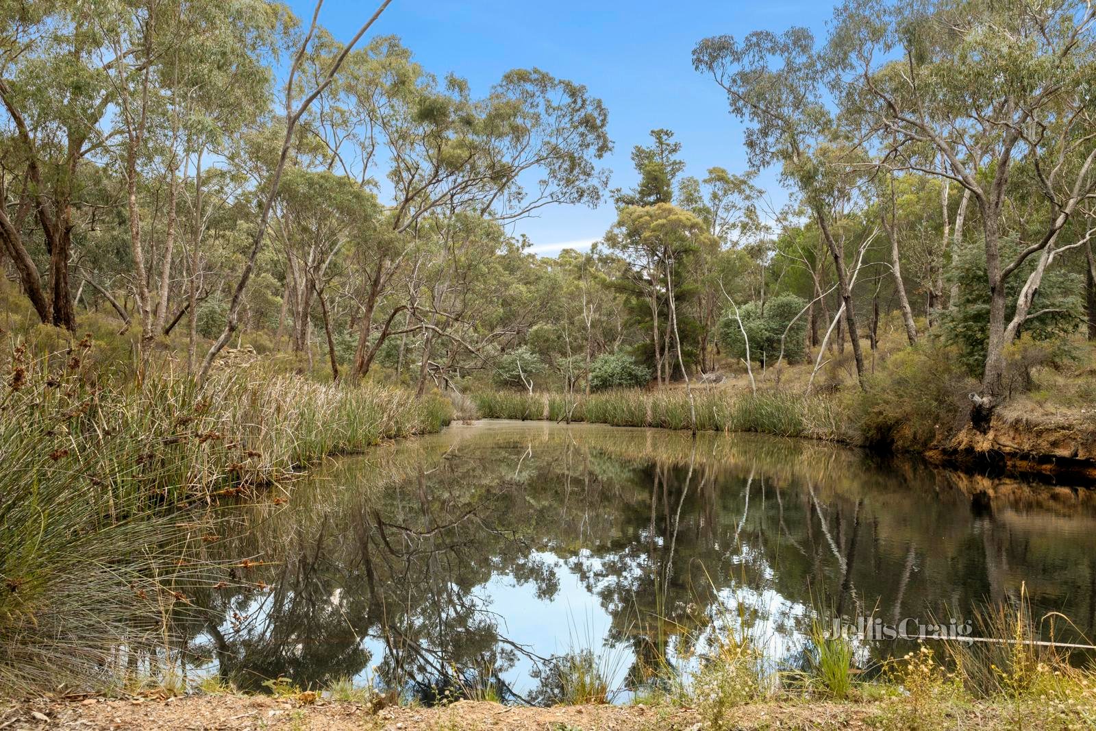 95 Stephen Street, Campbells Creek image 10