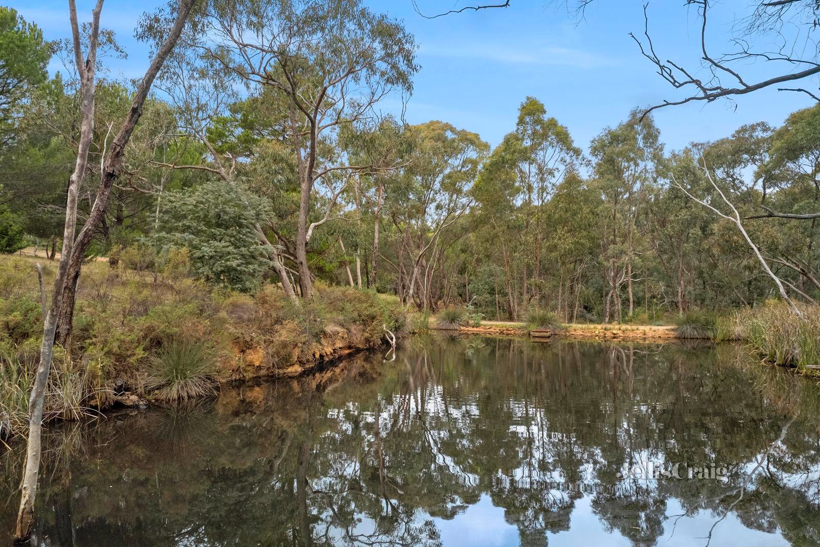 95 Stephen Street, Campbells Creek image 11