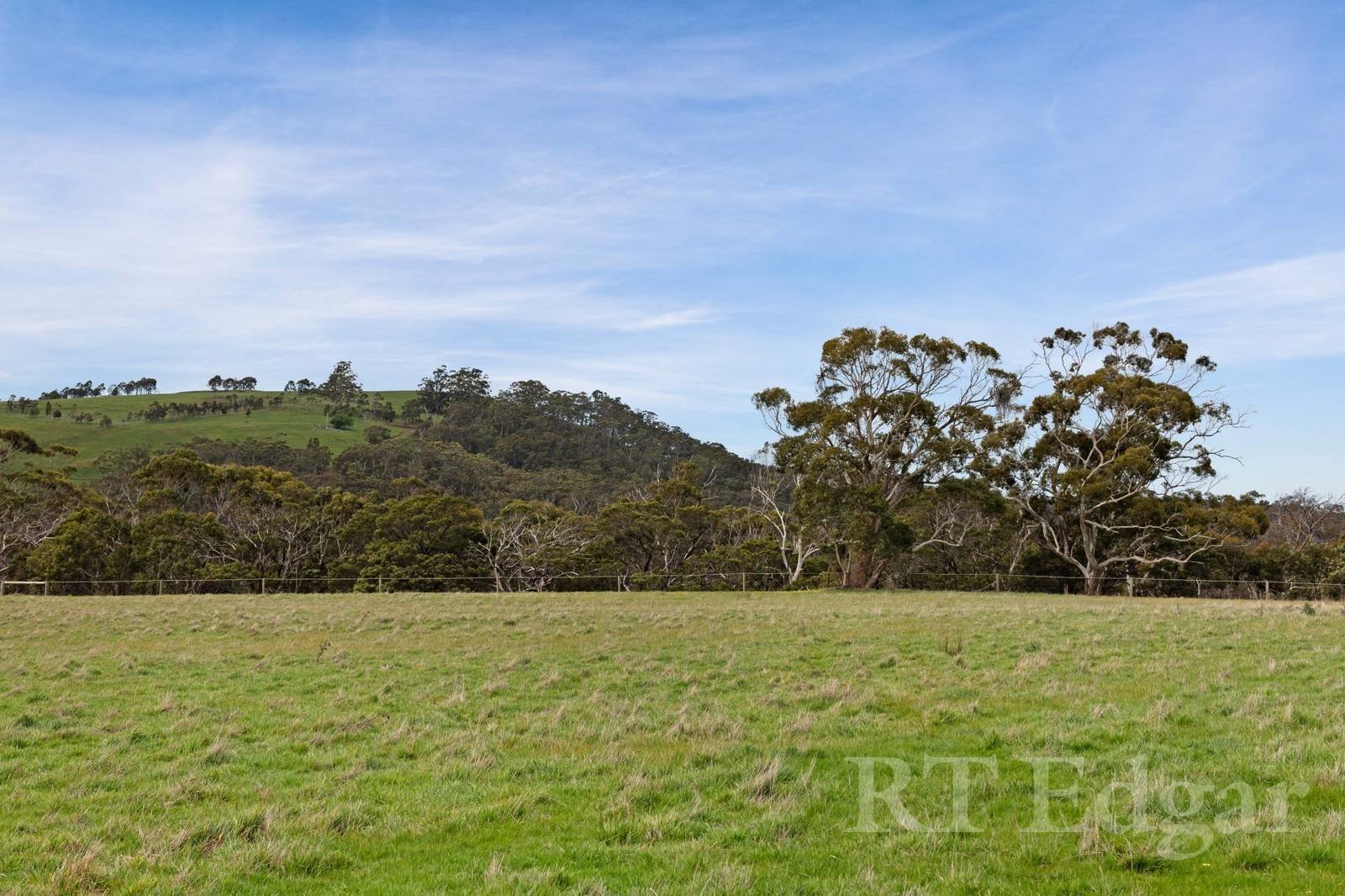 Property Gallery Thumbnail 8