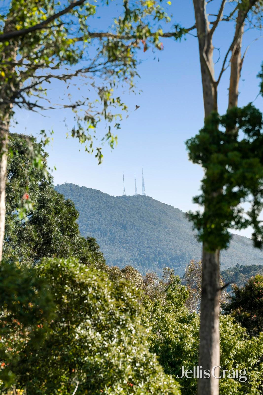 96 Bastow Road, Lilydale image 19