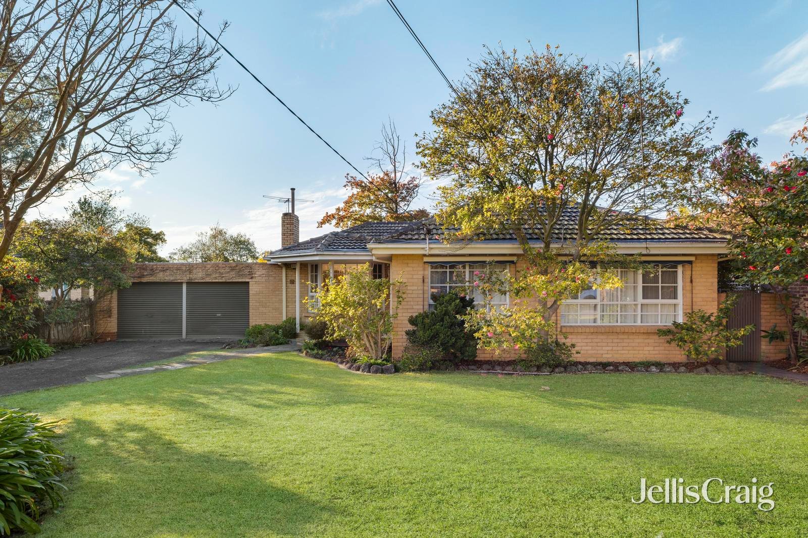 96 Hilton Street, Mount&nbsp;Waverley image 1