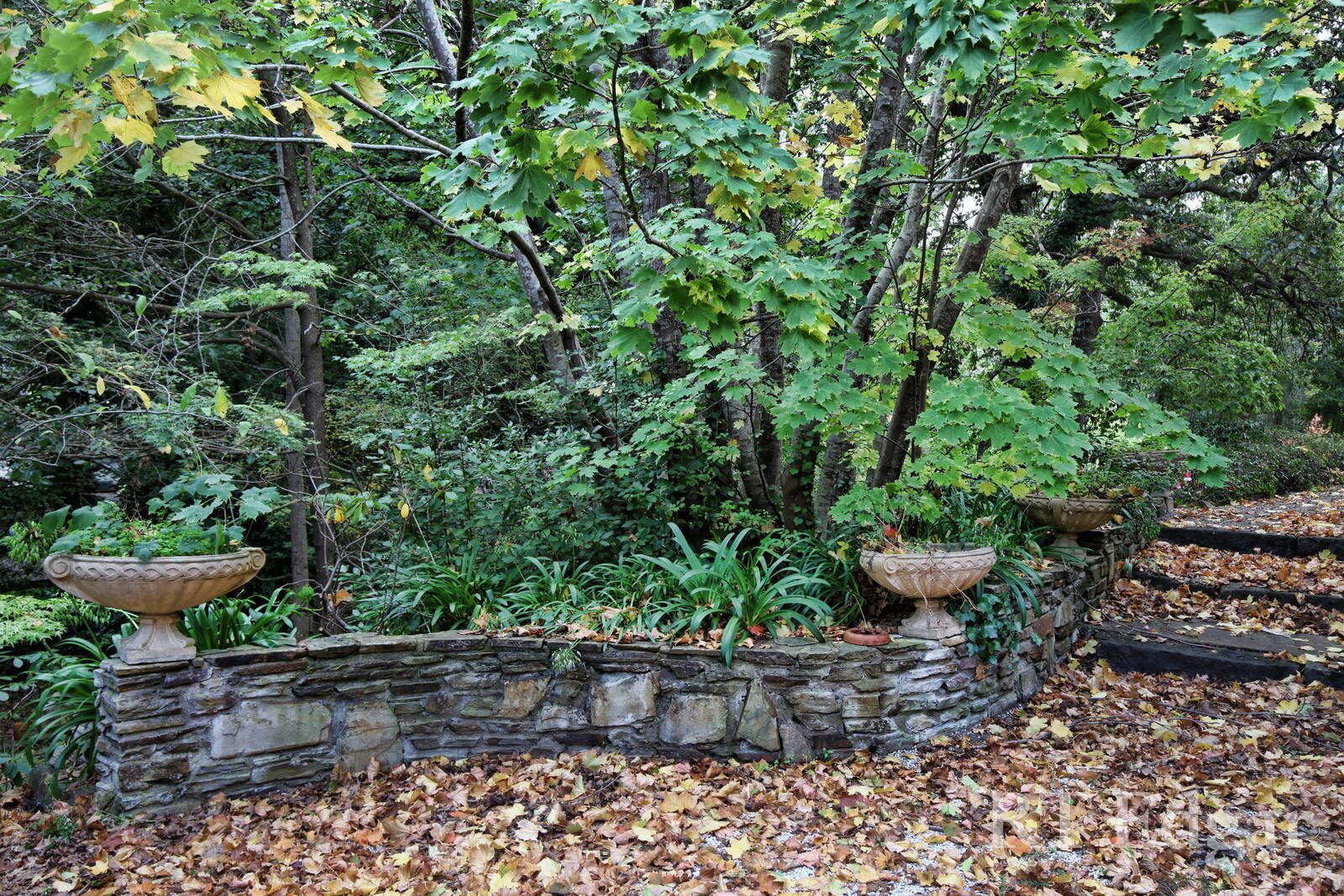 Property Gallery Thumbnail 10