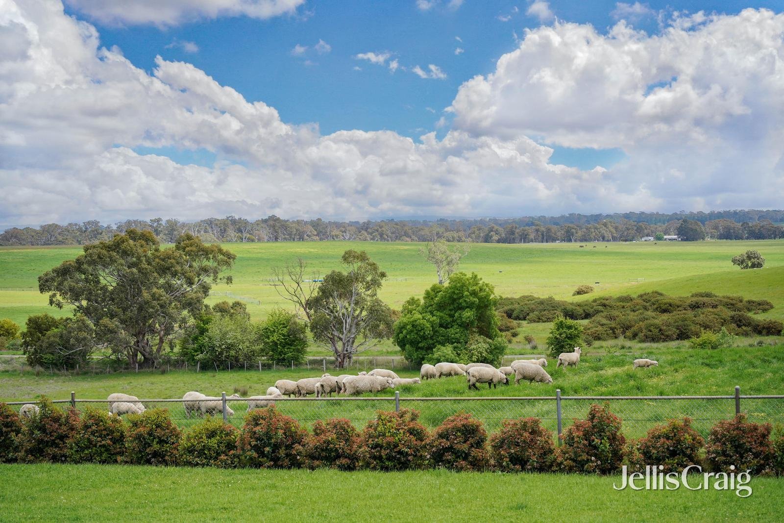 96 Morris Lane, Pipers Creek image 22