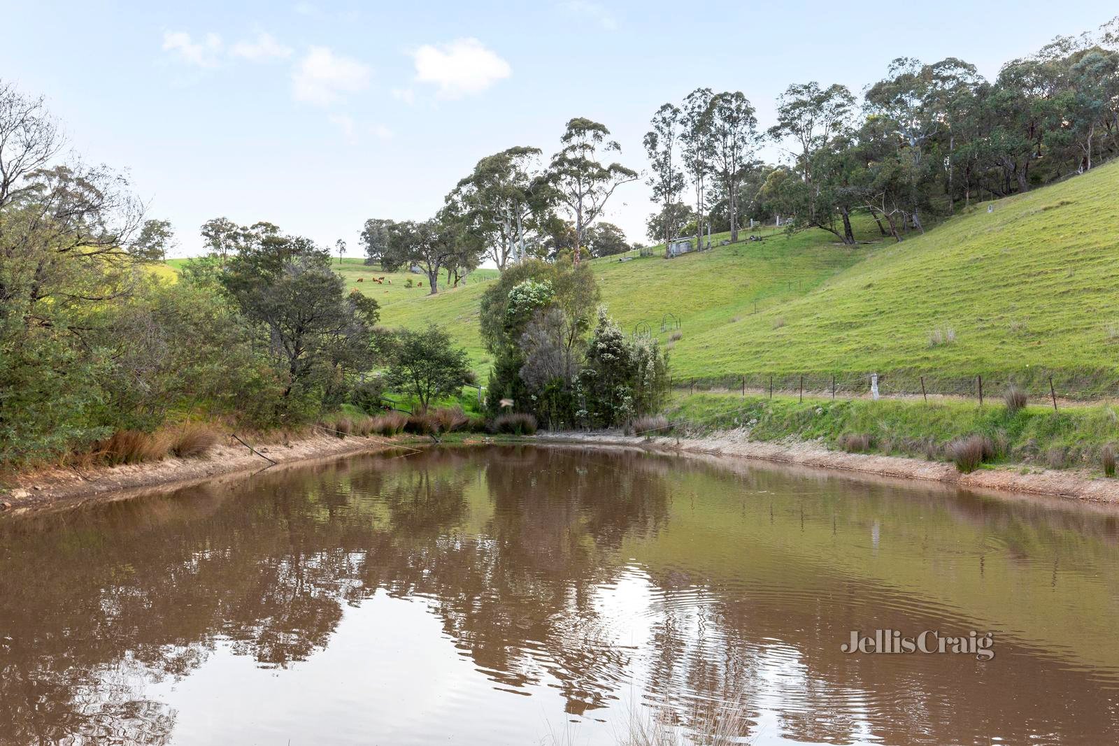 960 Kangaroo Ground St Andrews Road, Smiths Gully image 21