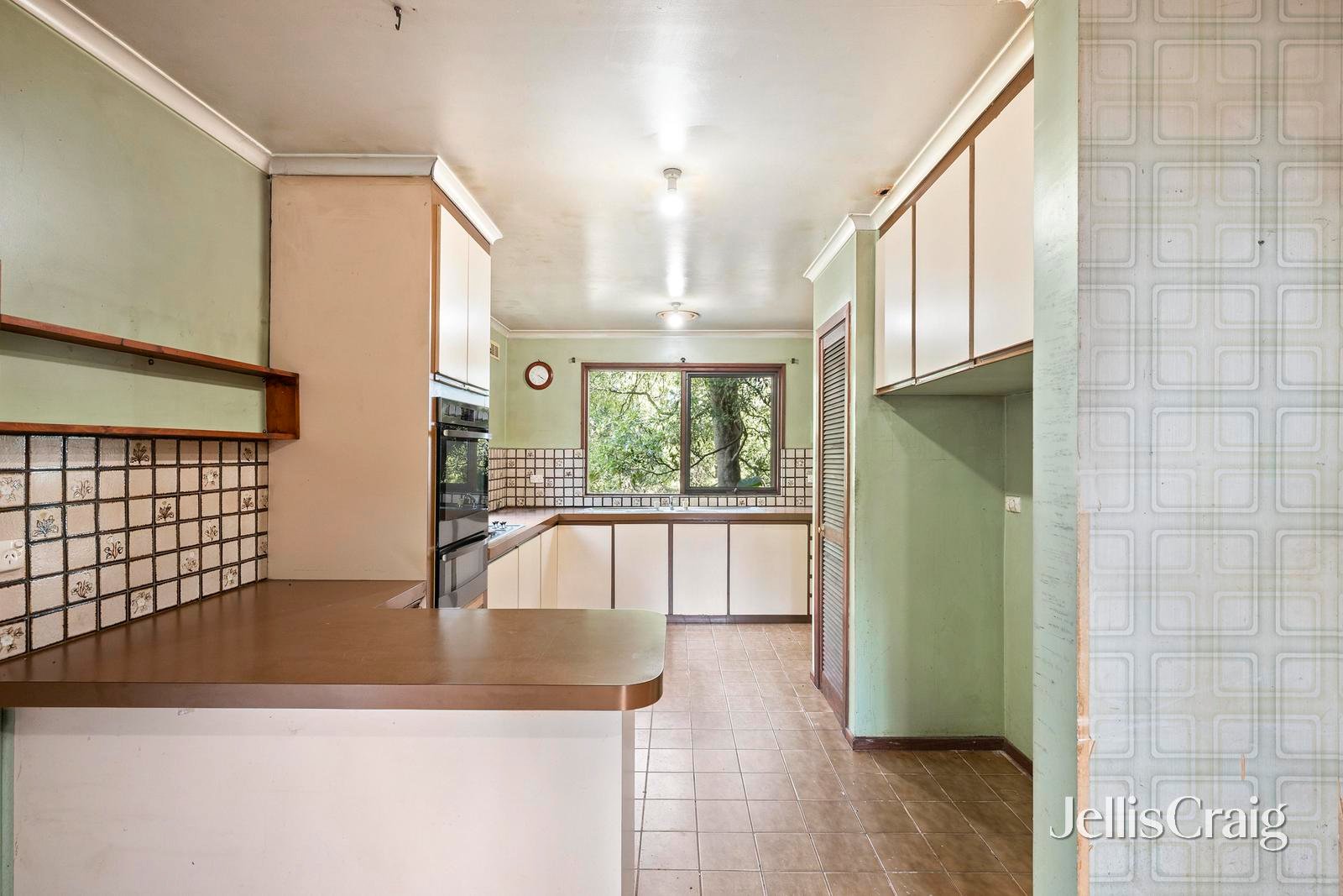 97 Edinburgh Road, Lilydale image 6