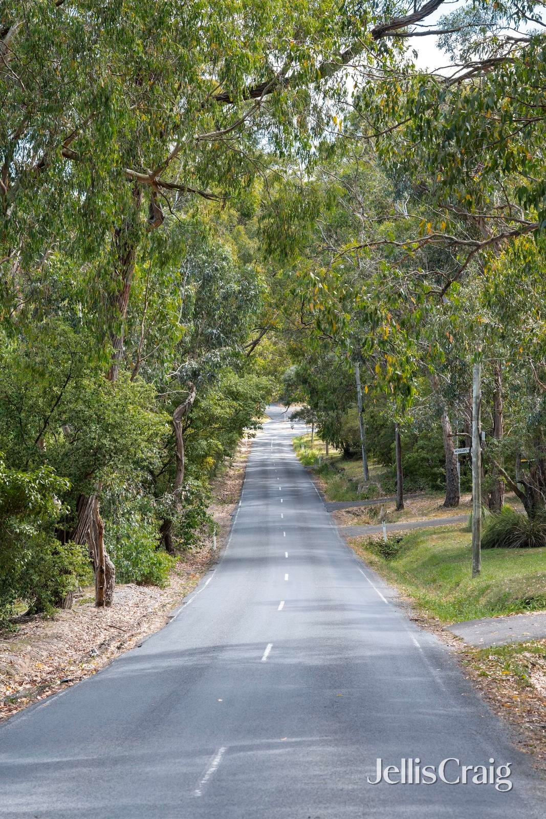 97 Edinburgh Road, Lilydale image 13