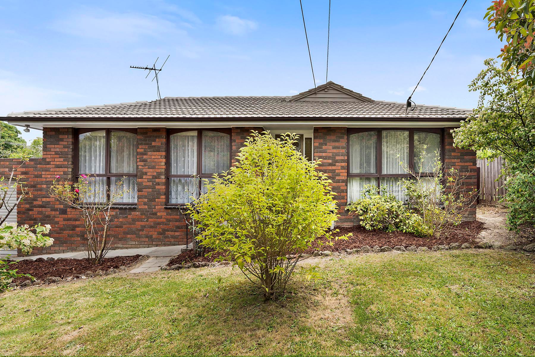 97 Hawthory Road, Mooroolbark image 2