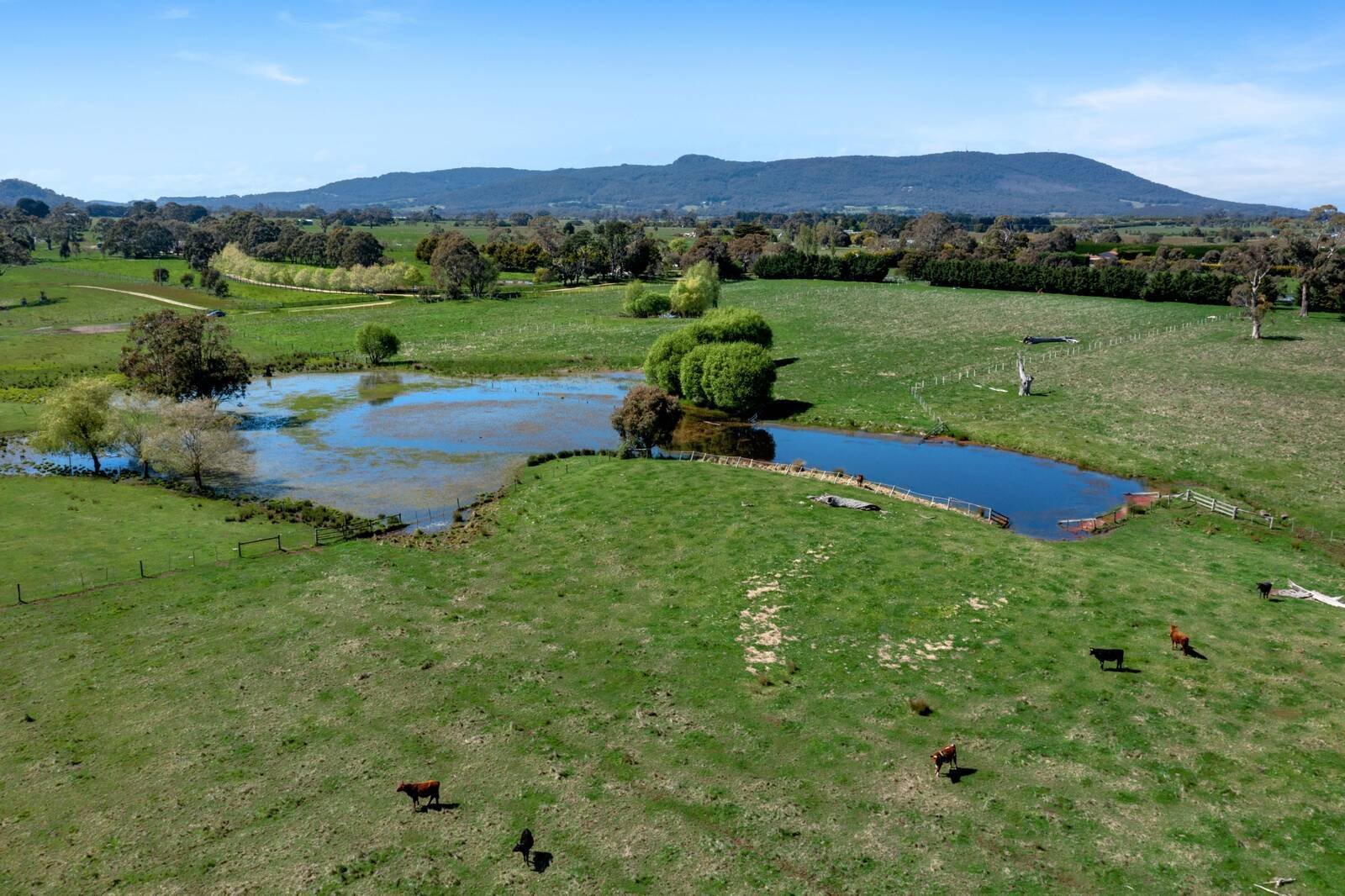 Property Gallery Thumbnail 3