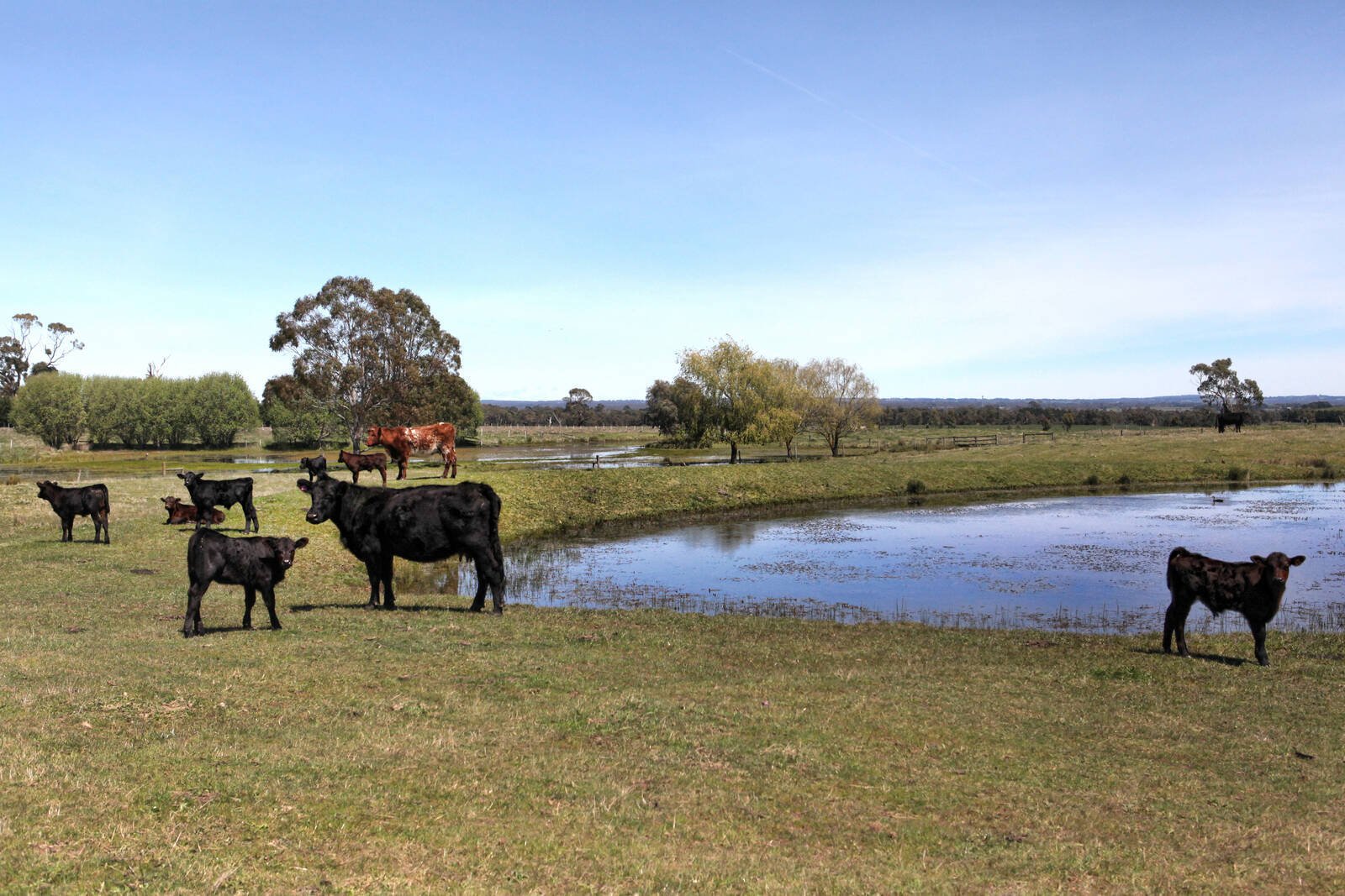 Property Gallery Thumbnail 4