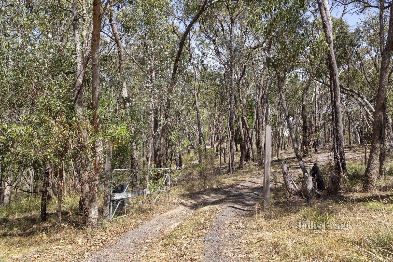 970 Buttermans Track, Christmas Hills image 1