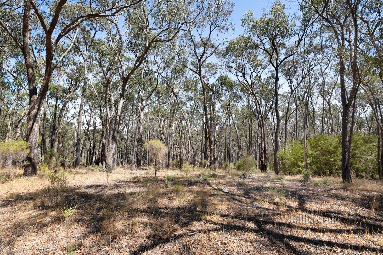 970 Buttermans Track, Christmas Hills image 3