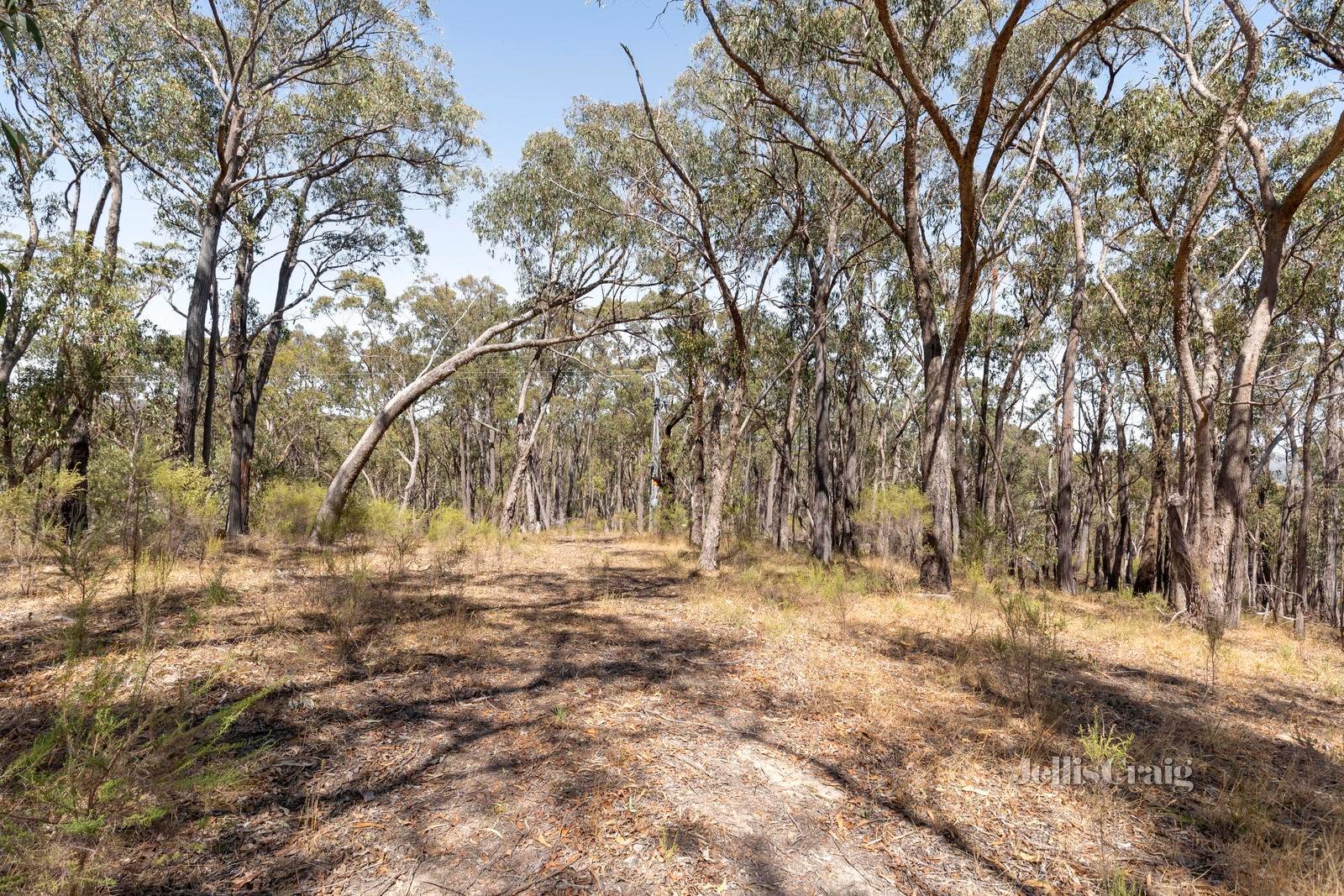 970 Buttermans Track, Christmas Hills image 4