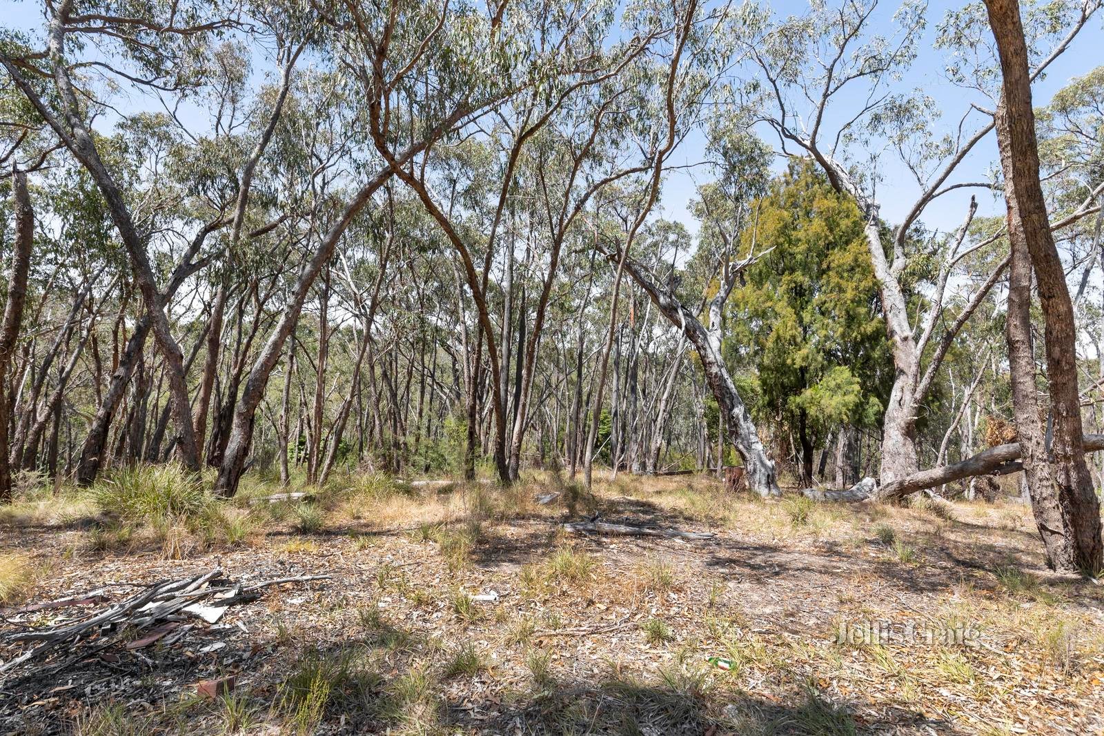 970 Buttermans Track, Christmas Hills image 5