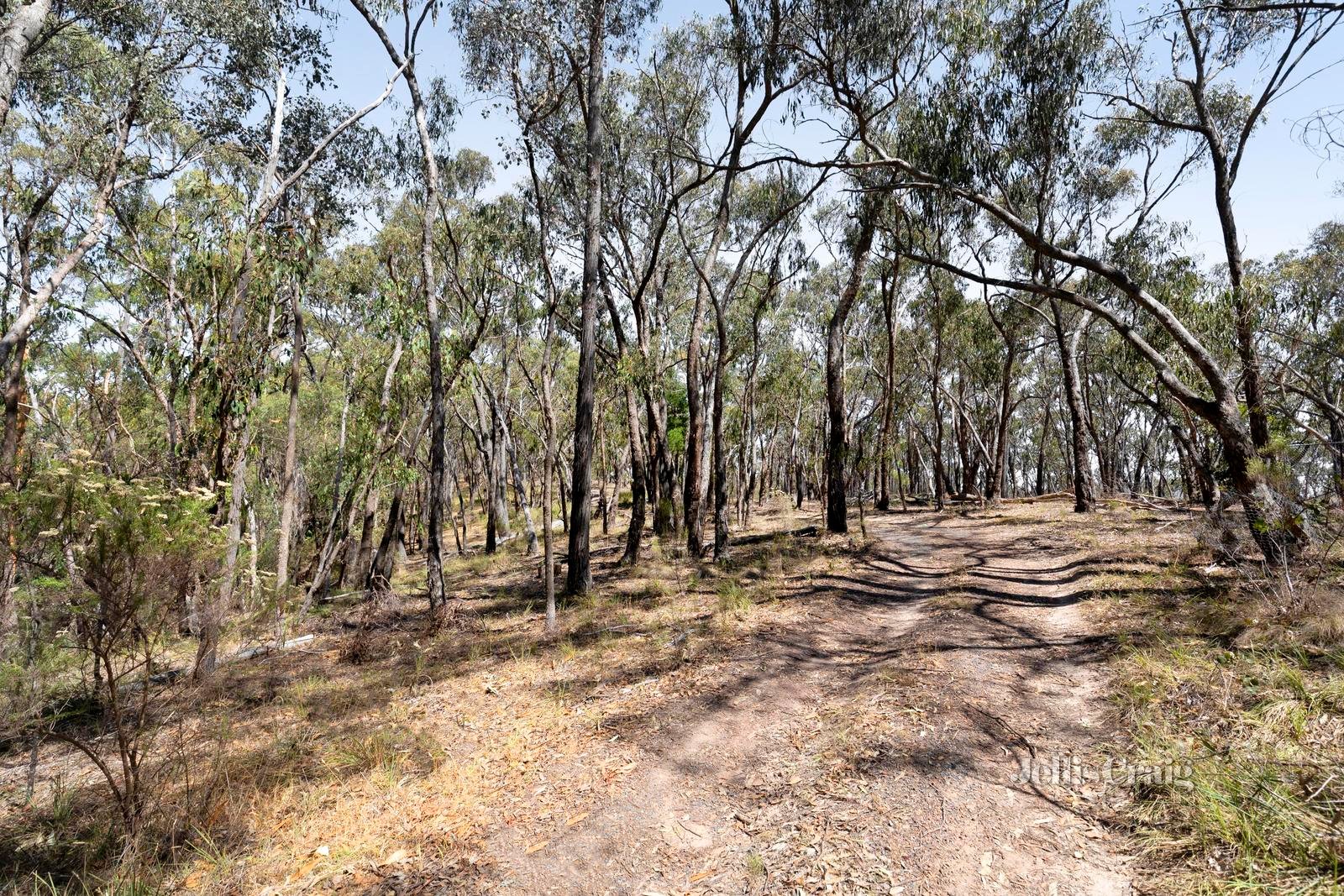 970 Buttermans Track, Christmas Hills image 6