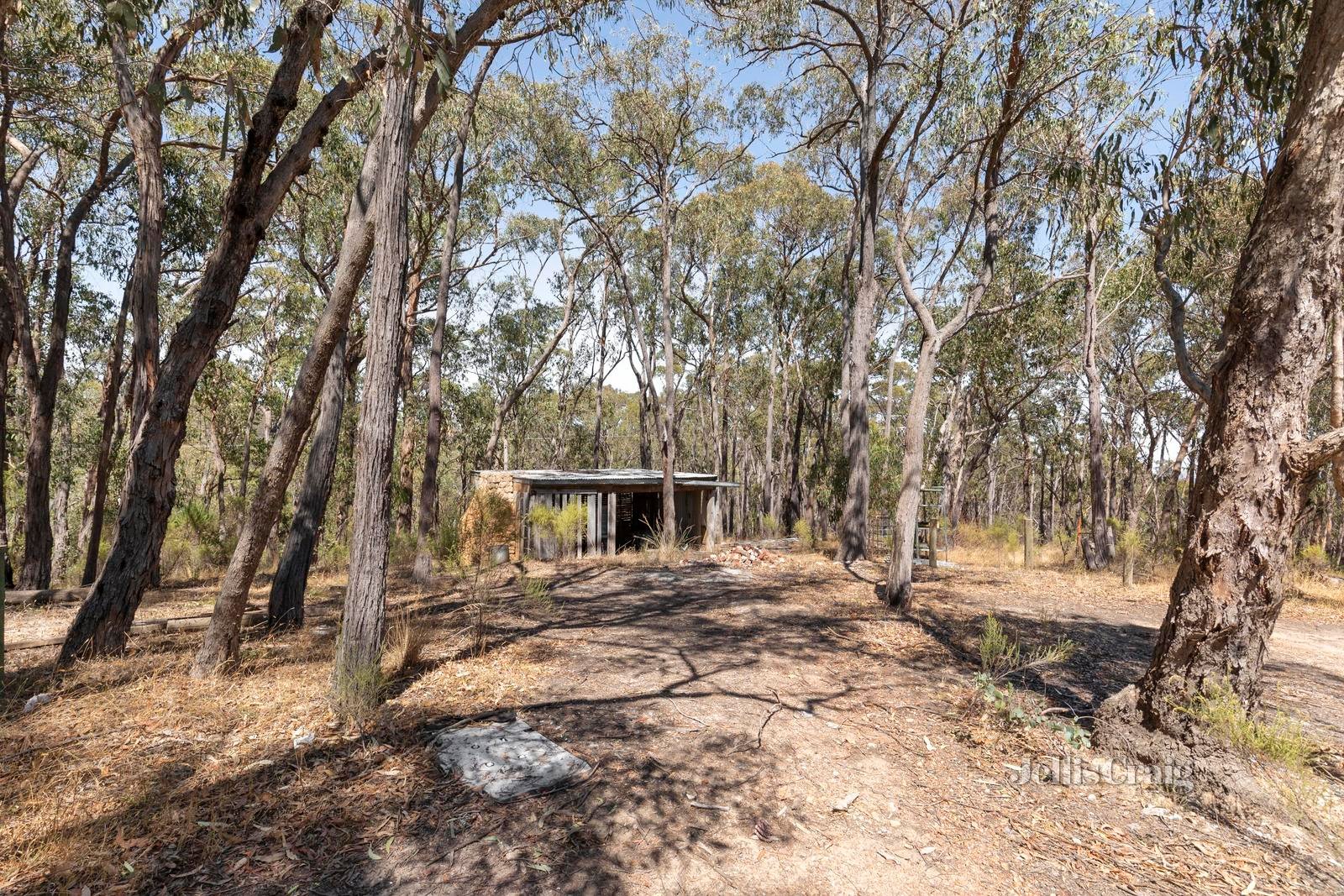 970 Buttermans Track, Christmas Hills image 7