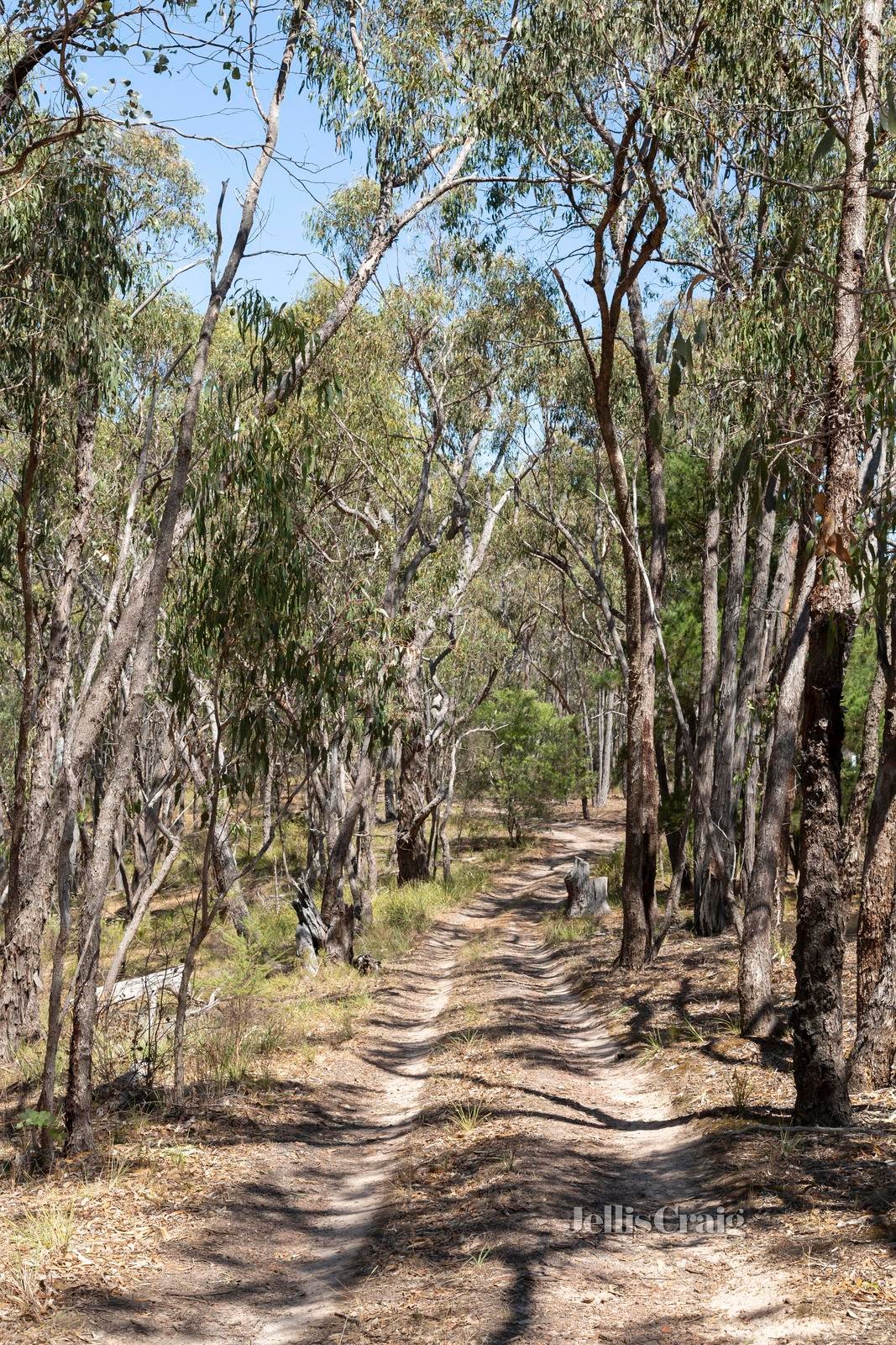 970 Buttermans Track, Christmas Hills image 8