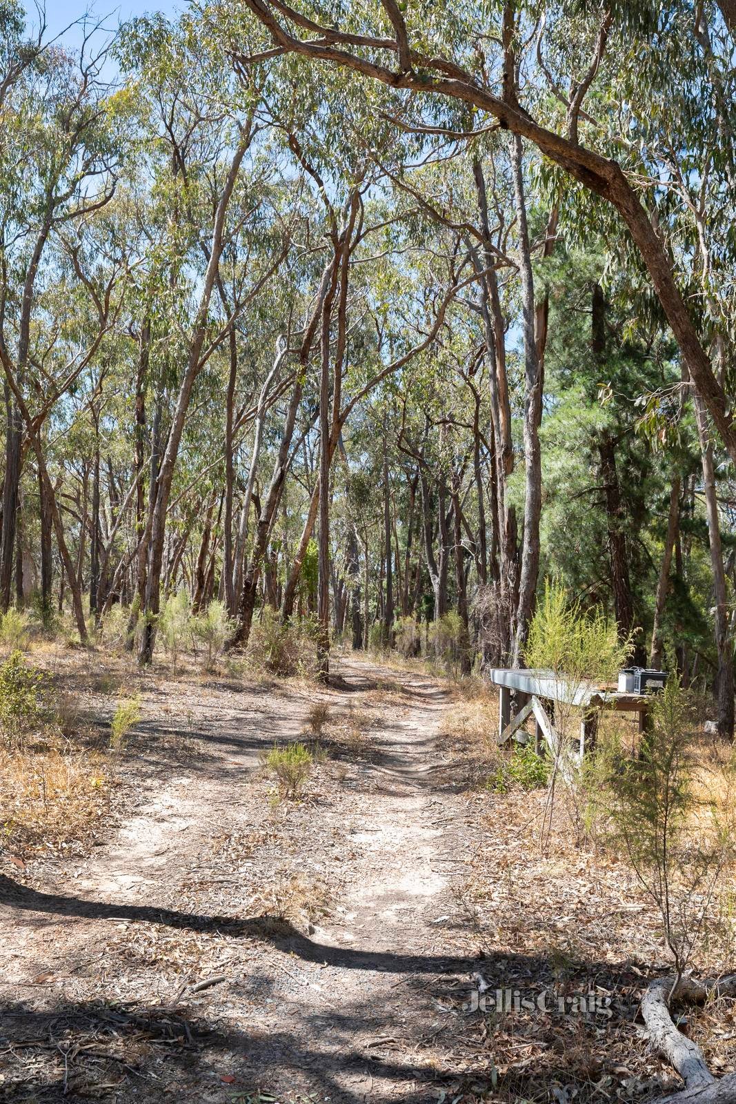 970 Buttermans Track, Christmas Hills image 9