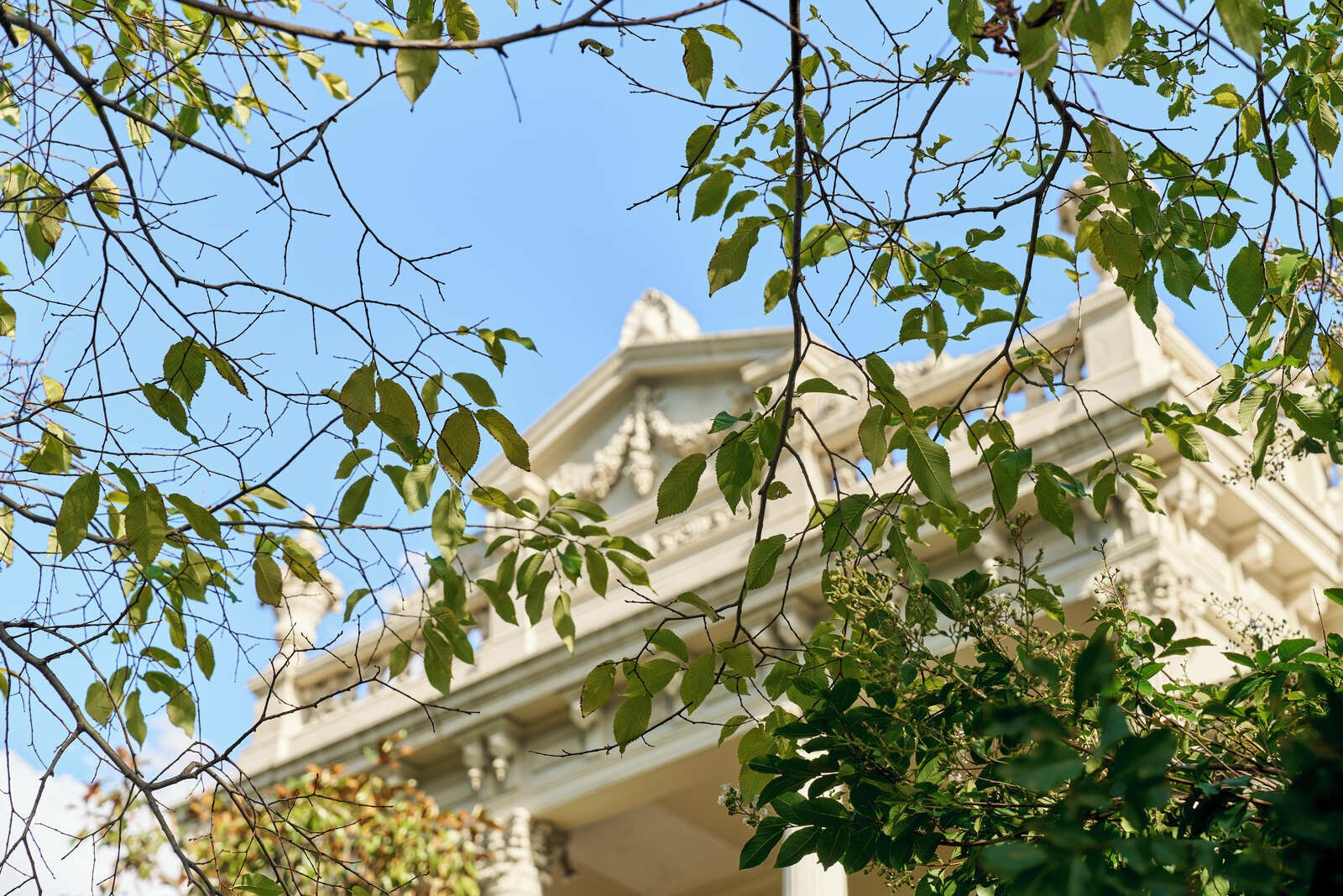 98 Charles Street