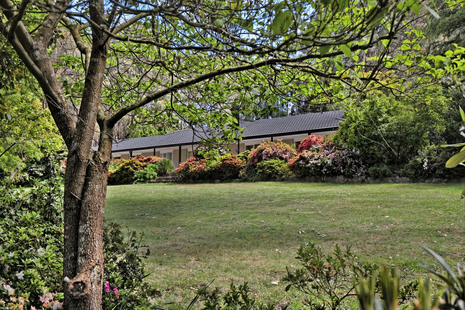 Property Gallery - Main Image
