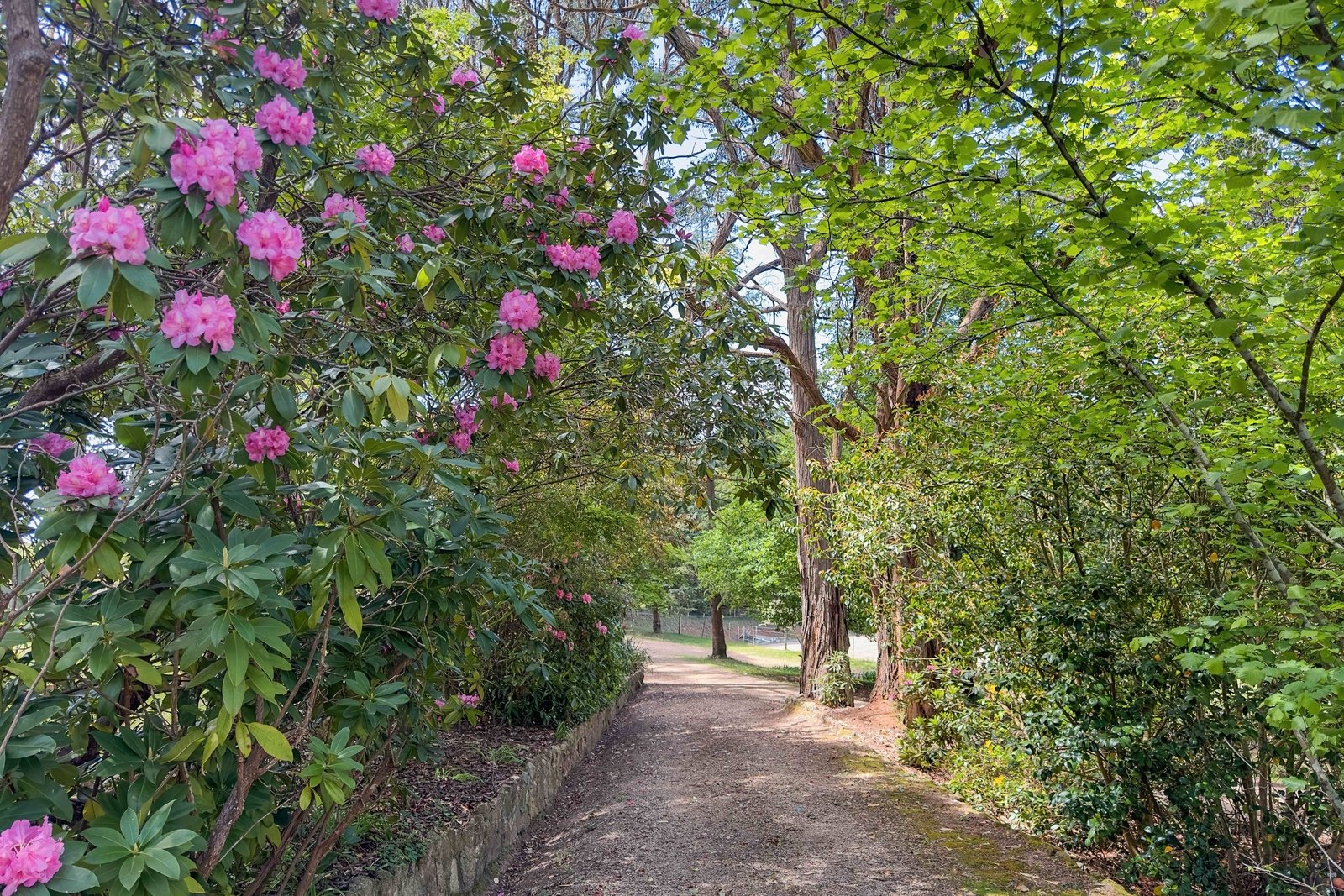 Property Gallery Thumbnail 20