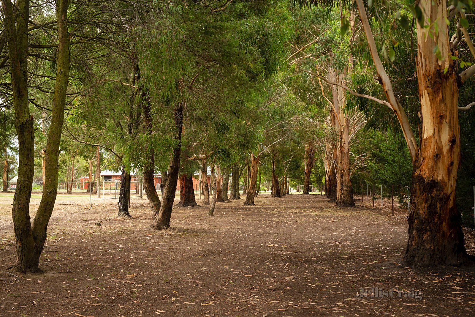 99 Bells Road, Smythes Creek image 12