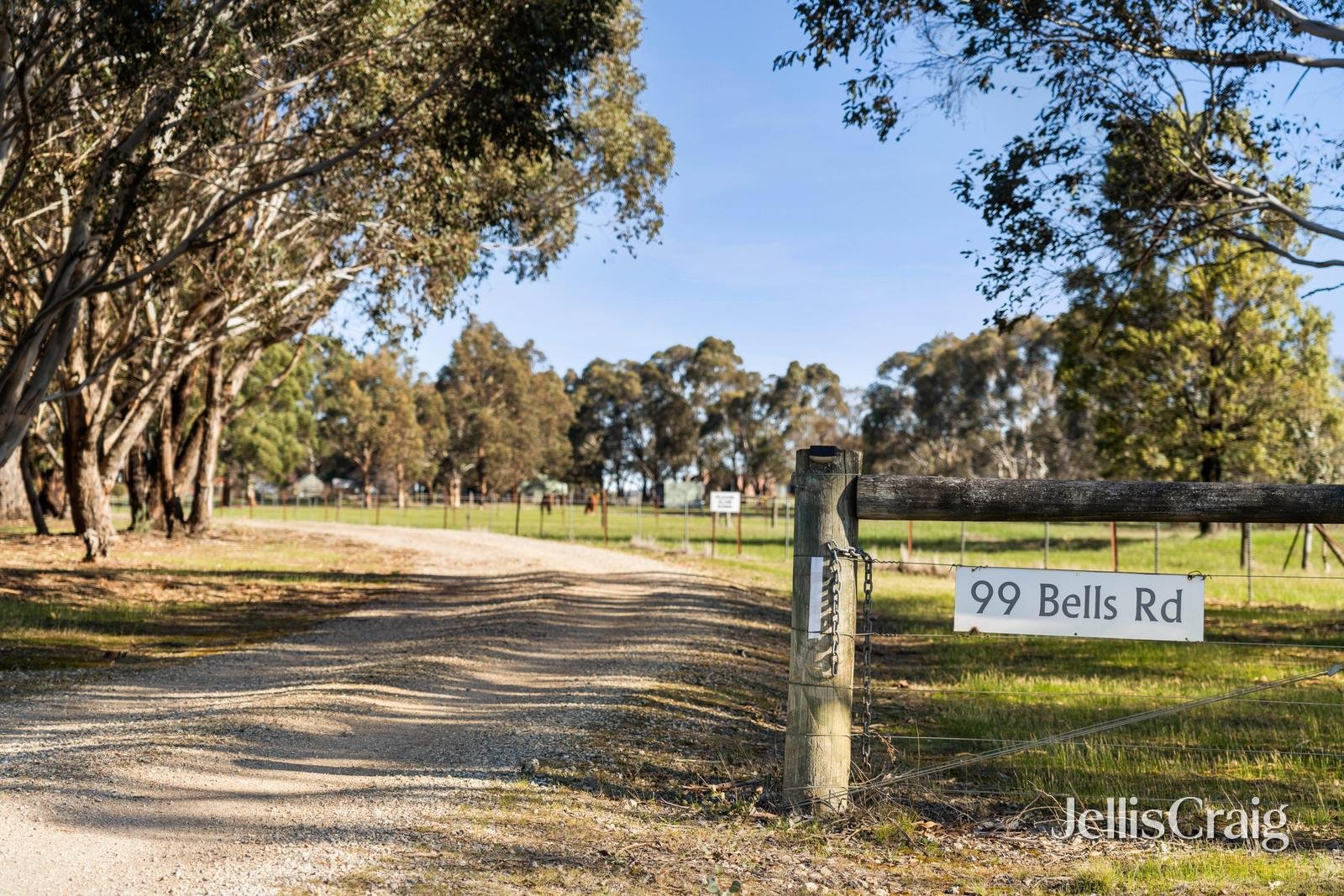 99 Bells Road, Smythes Creek image 8