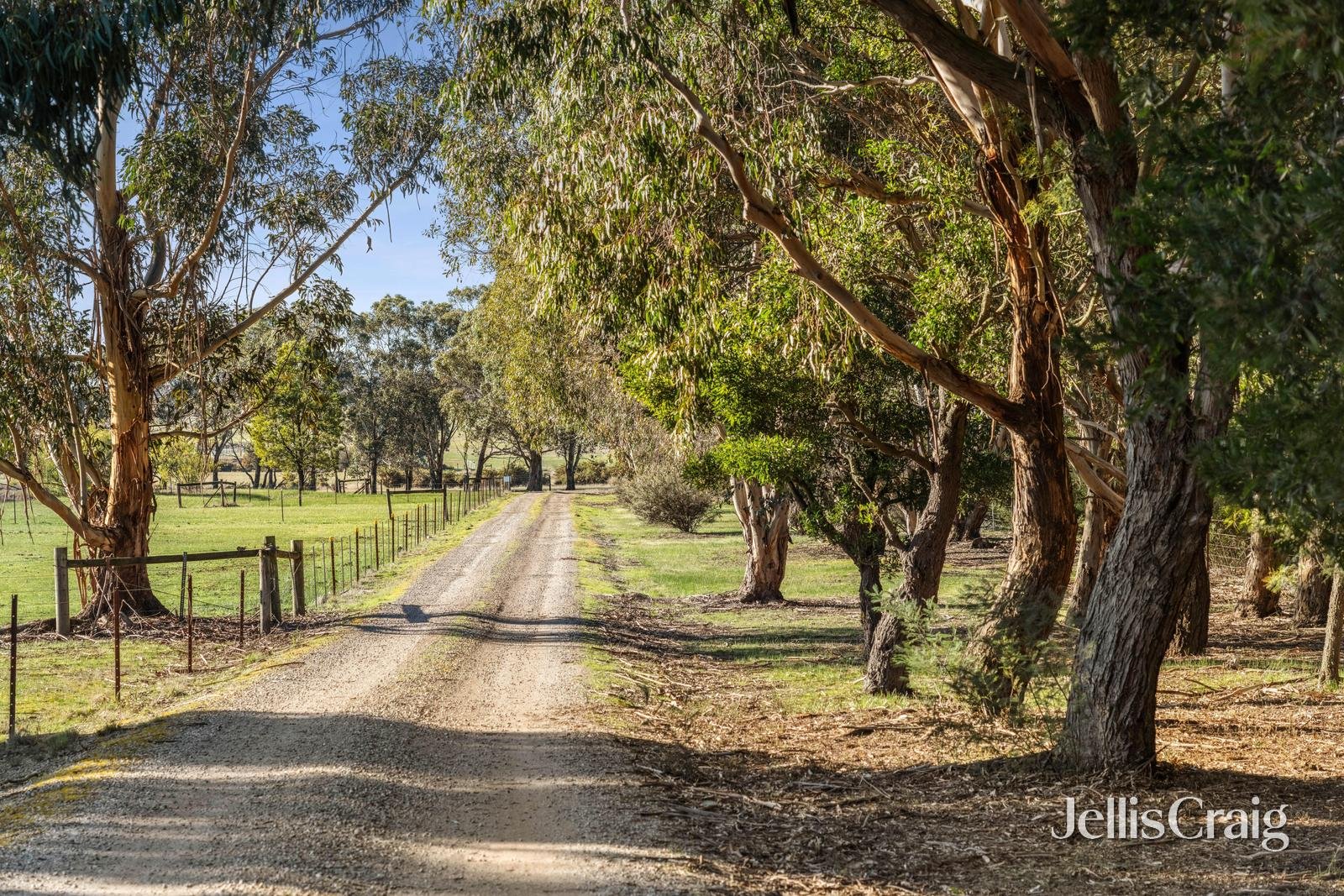 99 Bells Road, Smythes Creek image 22
