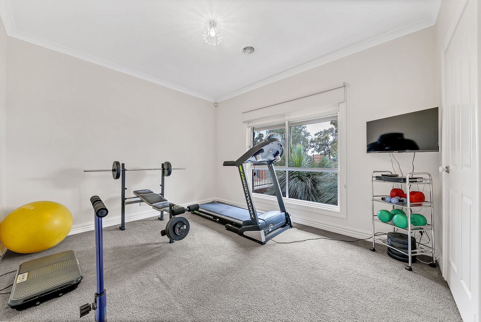 99 Carr Street, East Geelong image 15
