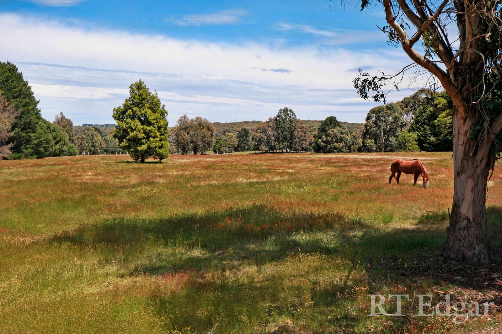 Property Gallery Thumbnail 19