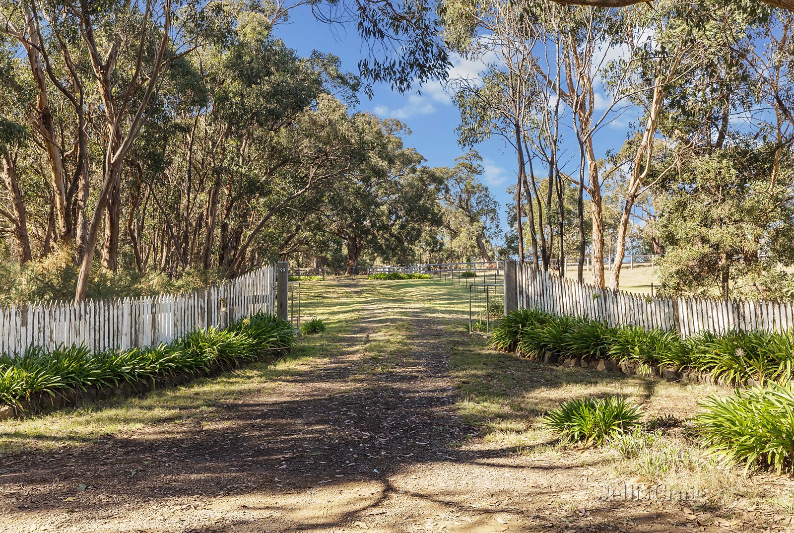 99 Falloons Road, Woodend image 1