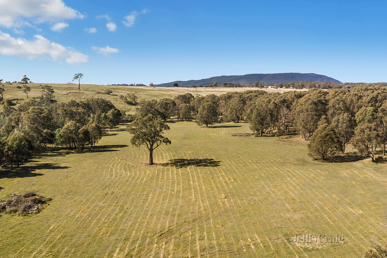 99 Falloons Road, Woodend image 3