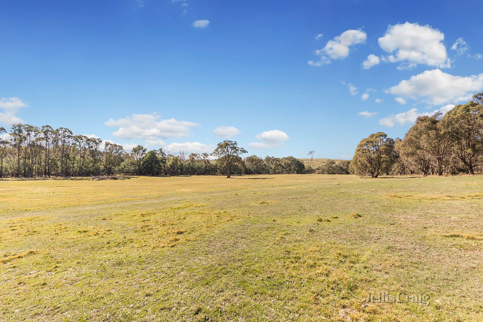 99 Falloons Road, Woodend image 8
