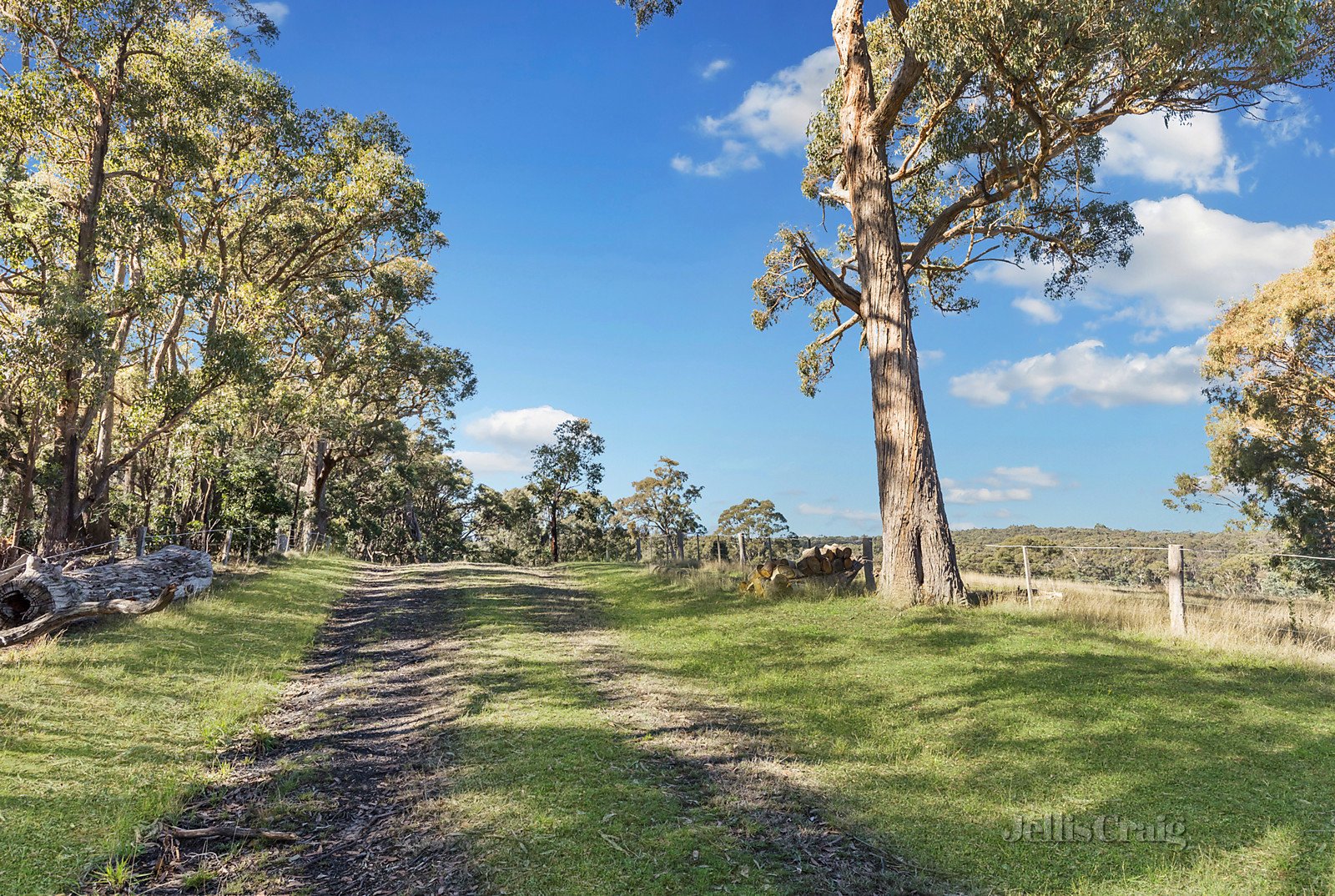 99 Falloons Road, Woodend image 10