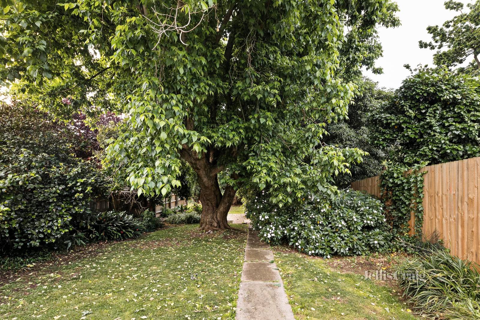 99 Shamrock Street, Brunswick West image 12