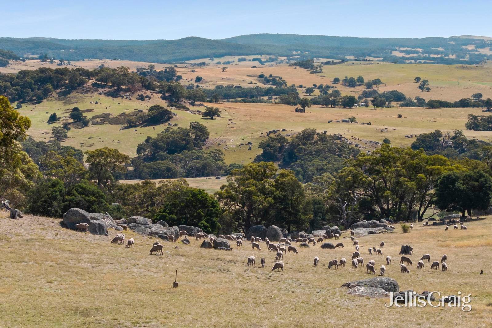 995 Lancefield-Pyalong Road, Nulla&nbsp;Vale image 1