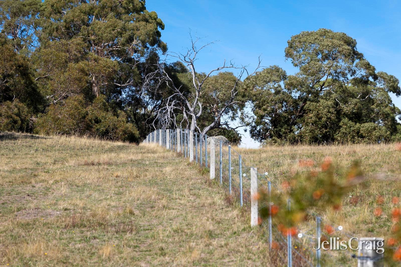 995 Lancefield-Pyalong Road, Nulla&nbsp;Vale image 8