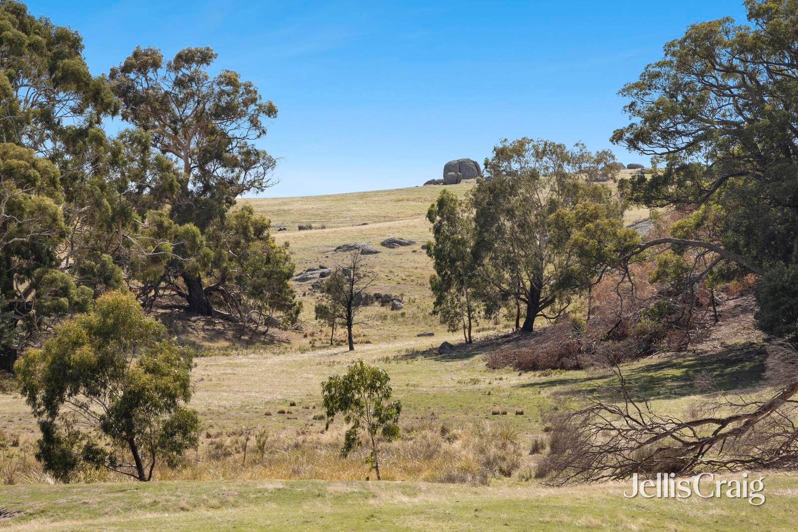 995 Lancefield-Pyalong Road, Nulla&nbsp;Vale image 21
