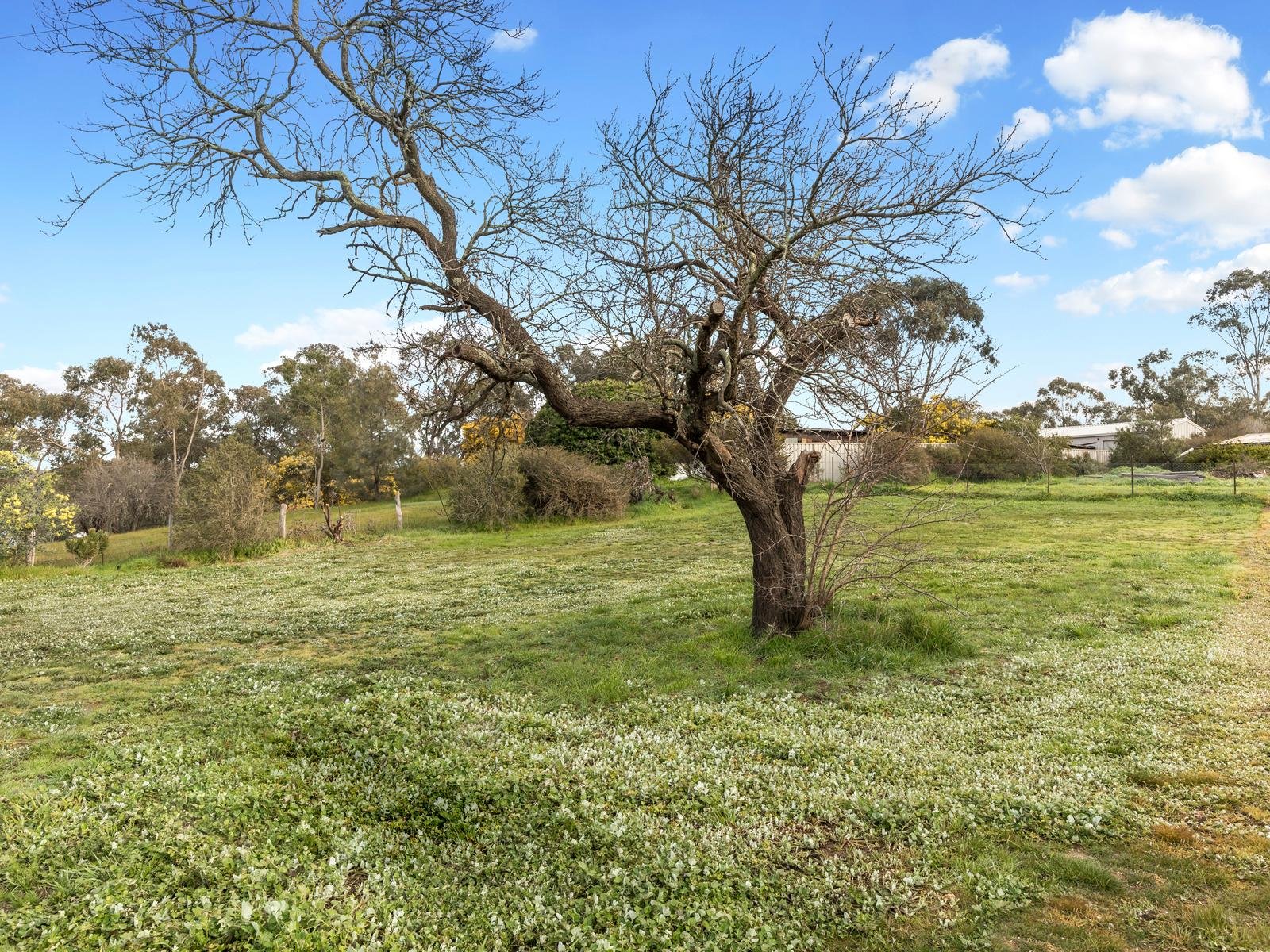 9b Reckleben Street, Castlemaine image 4