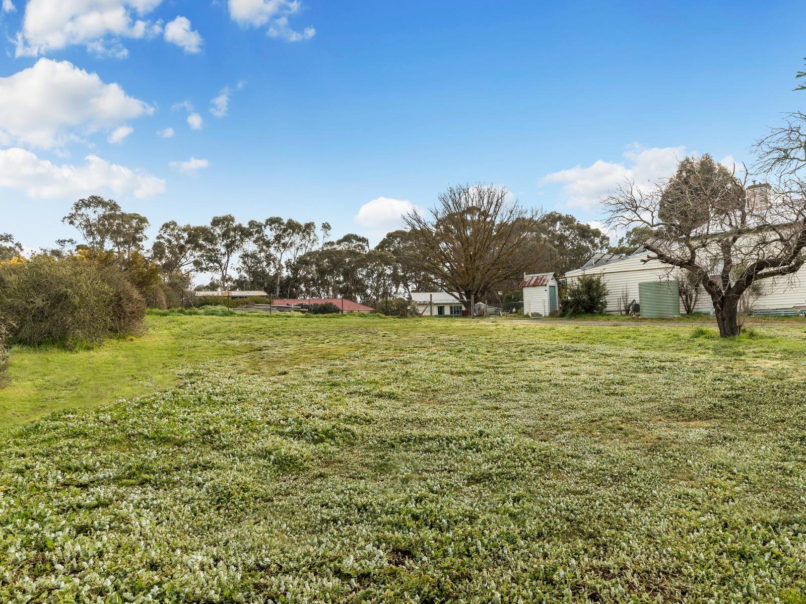 9b Reckleben Street, Castlemaine image 5